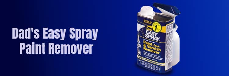 Dad's Easy Spray Paint Remover