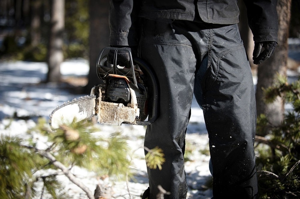 best chainsaw chaps buying guide