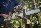 Why Does Your Chainsaw Cut Crooked & What to Do?