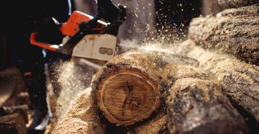 The Right Chainsaw File Sizes- Explained by Industry Experts