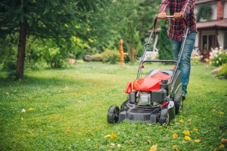 How to Use a Lawn Mower – DIY Step-by-Step Guide with Pro Tips!